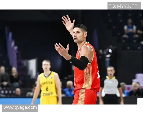 尼古拉武切维奇的传奇人生与篮球梦想之路探索